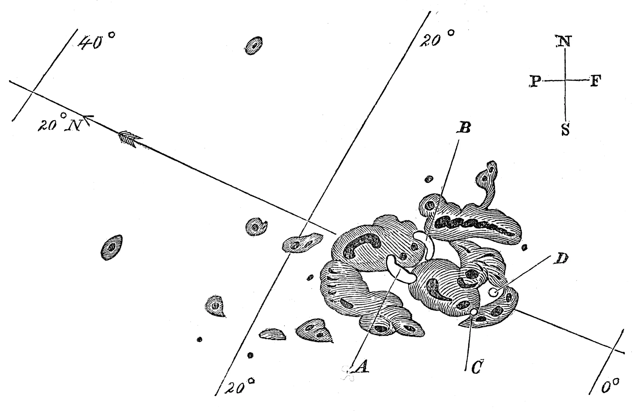 Drawing of sunspots by Richard Carrington (1826-1875), the English astronomer