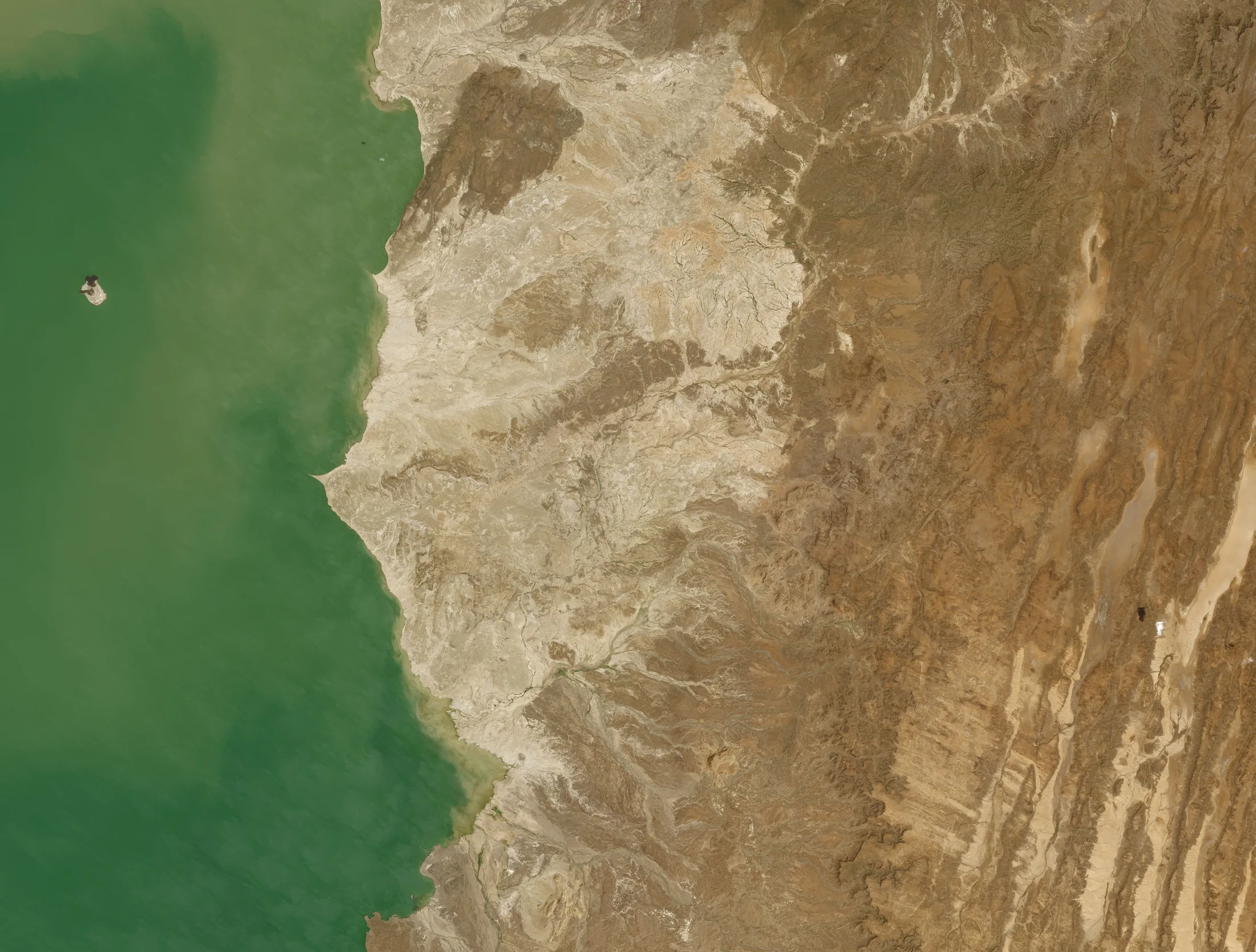 The image below shows a closer view of Koobi Fora on January 28, 2021, acquired by the Operational Land Imager (OLI) on Landsat 8.
In 1984, paleontologists Richard and Meave Leakey discovered at Koobi Fora an almost-complete fossilized skel