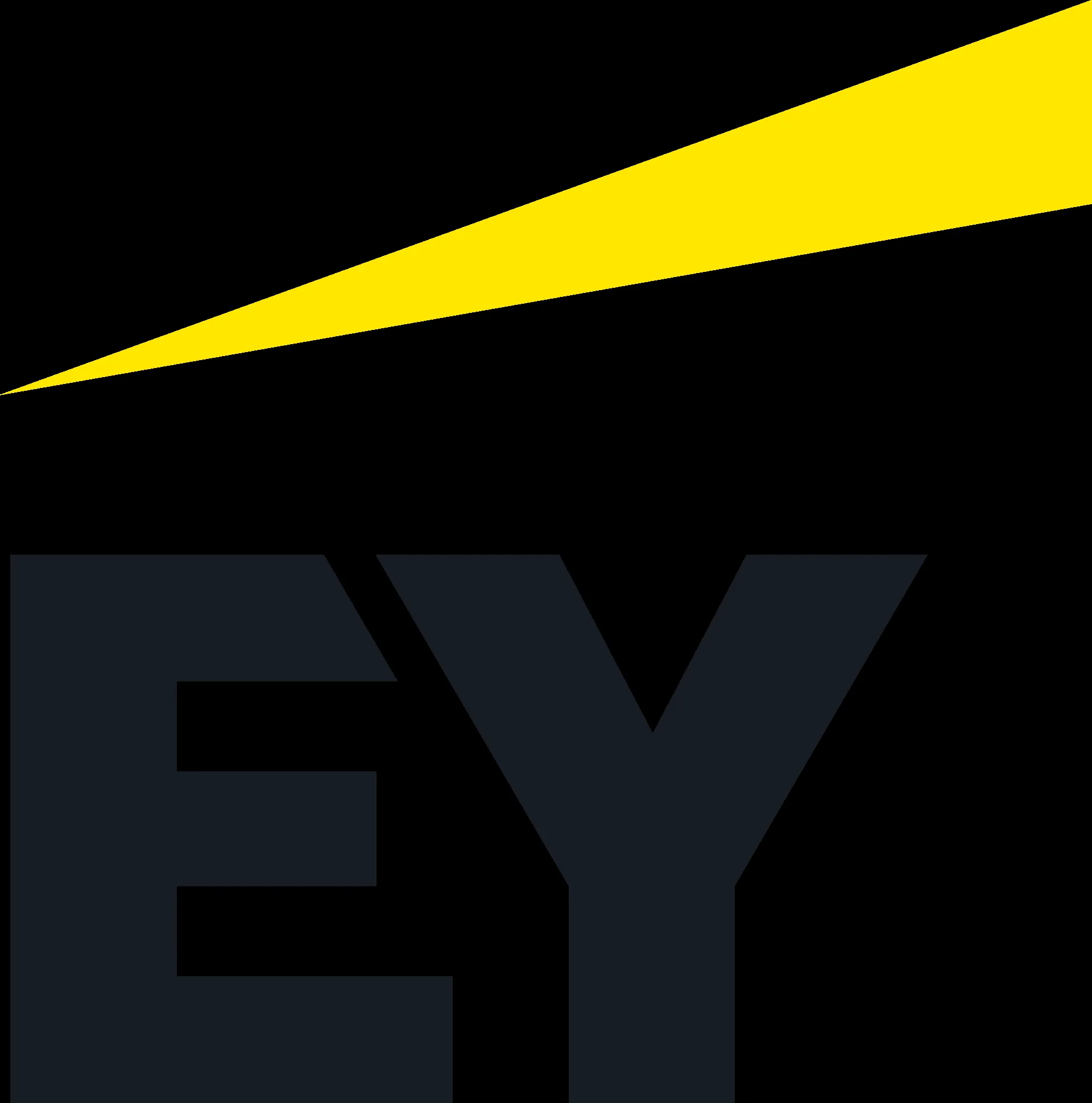 Ernst & Young — Multinational professional services network