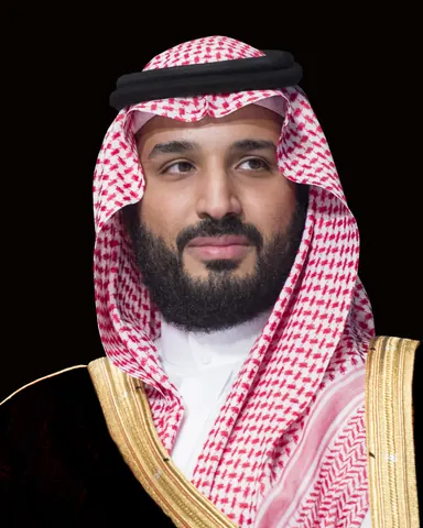 Mohammed bin Salman — Crown Prince of Saudi Arabia since 2017
