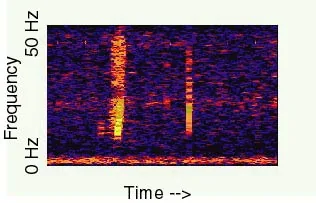 A spectrogram of the mysterious sound Bloop.