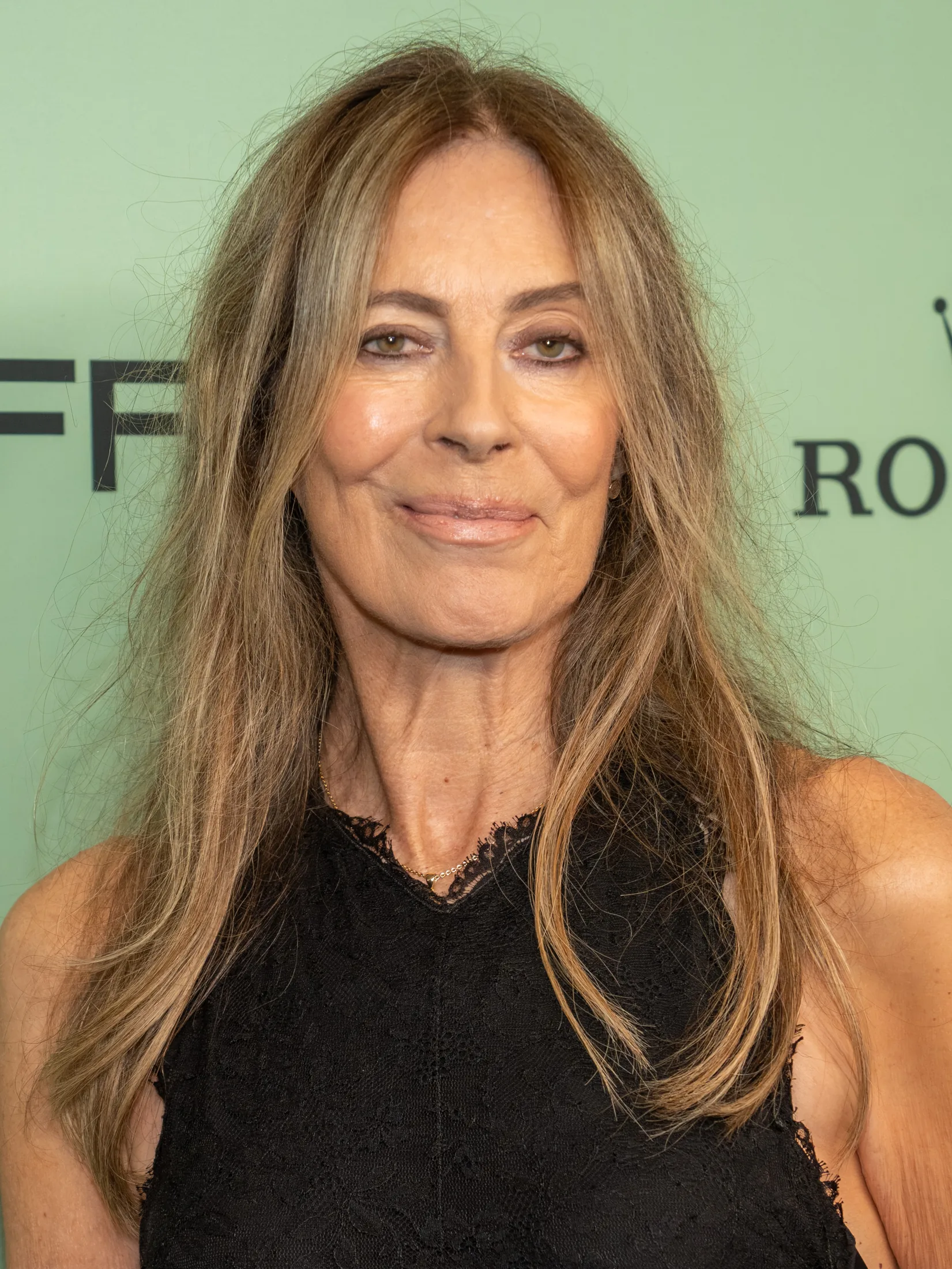 Kathryn Bigelow — American filmmaker (born 1951)