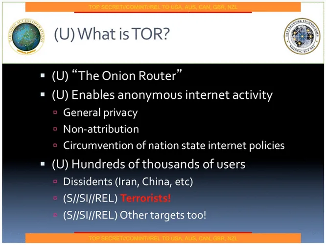 NSA documents leaked by Snowden showed how the agency approached what it called "The TOR problem,” in which it exploited a JavaScript weakness to uncover the identities of anonymous users of the Tor encrypted network.