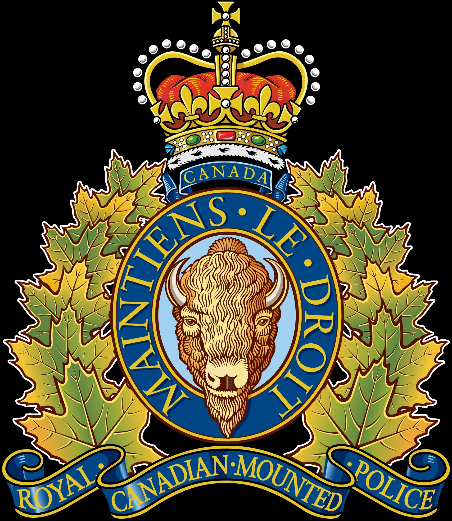 Royal Canadian Mounted Police — Federal police service of Canada