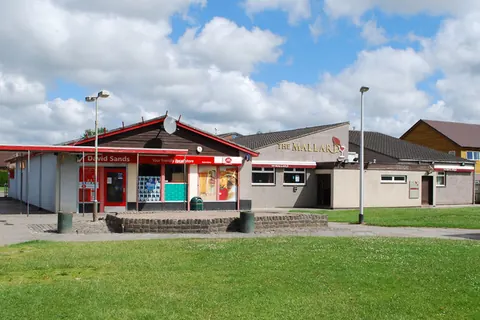 David Sands — Scottish convenience store chain