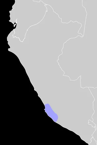 Paracas Culture